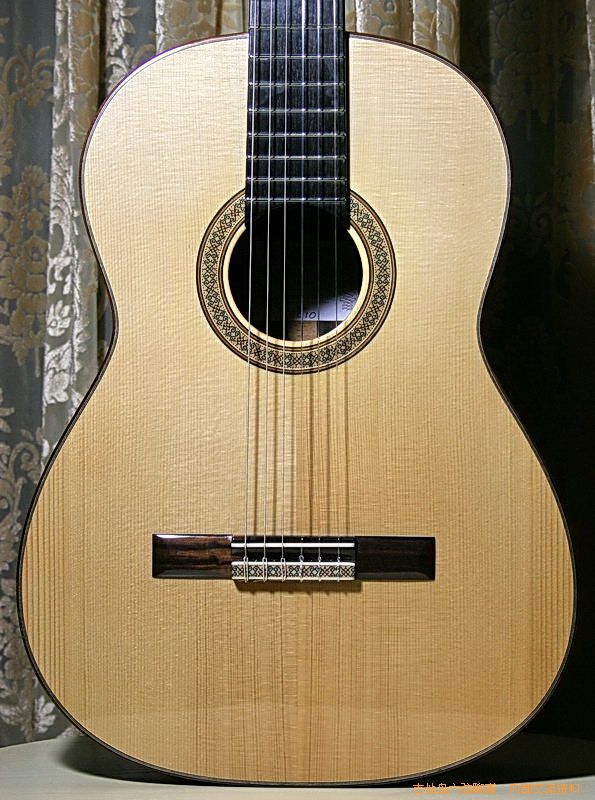 newguitars 006_缩小大小.jpg