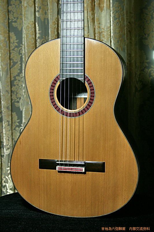 newguitars 026_缩小大小.jpg