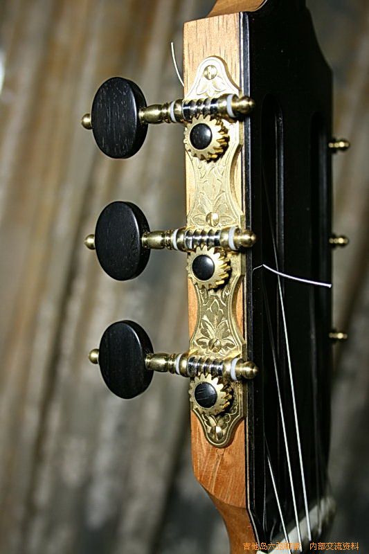 newguitars 046_缩小大小.jpg