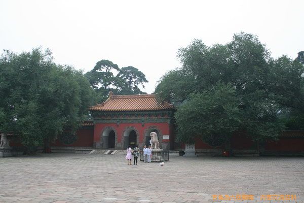 shenyang_competition_2011 187_缩小大小.jpg