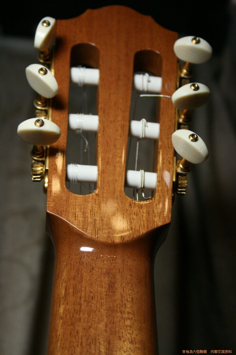 robert_guitars 019_缩小大小.jpg