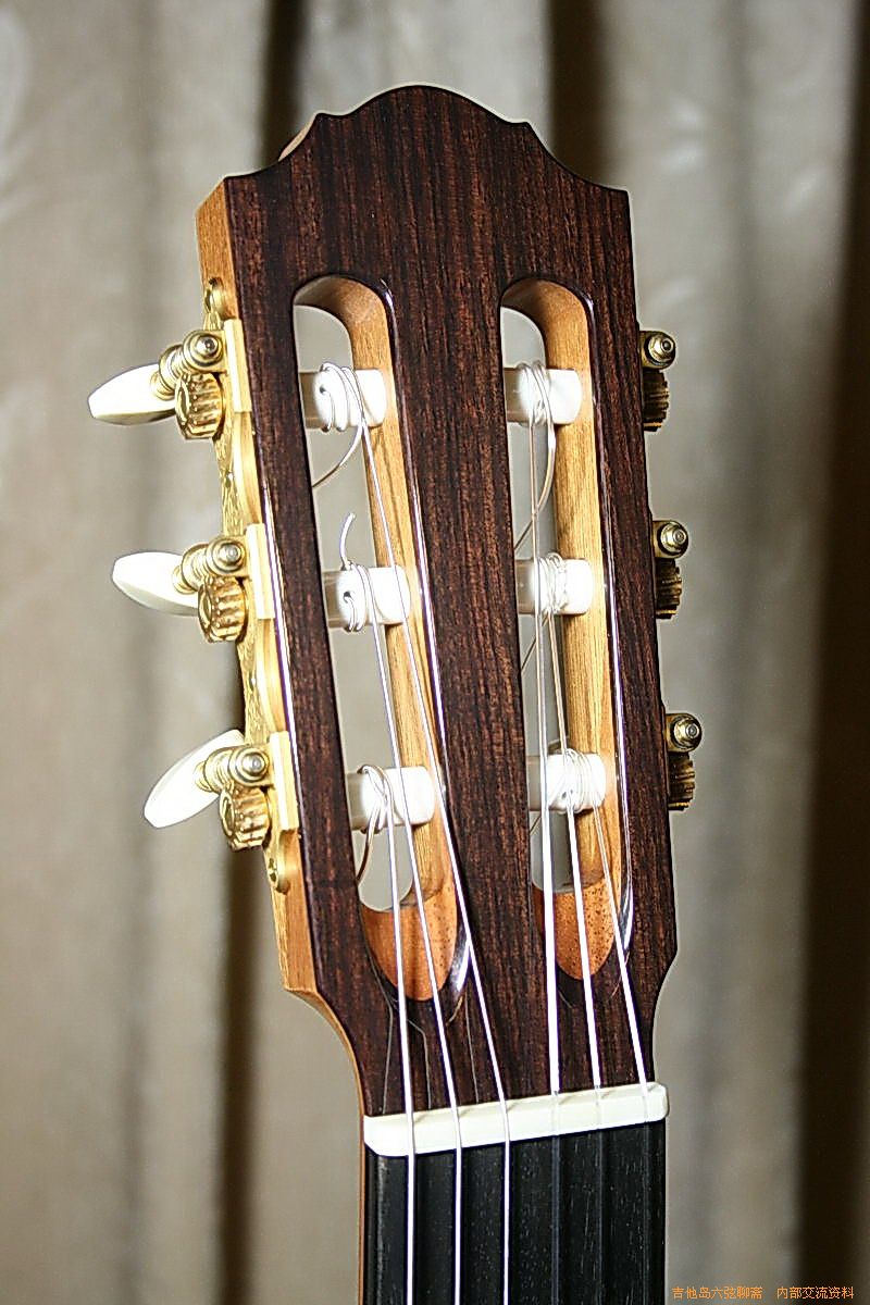 robert_guitars 011_缩小大小.jpg