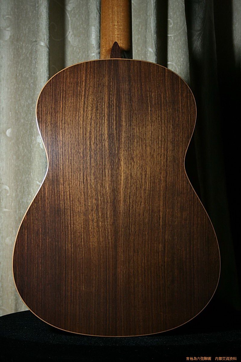 robert_guitars 027_缩小大小.jpg