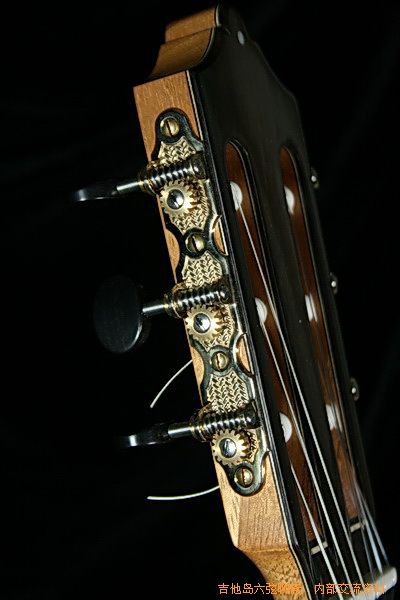 guitars 185_调整大小.jpg