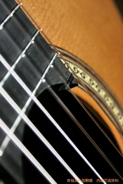 guitars 016_调整大小.jpg