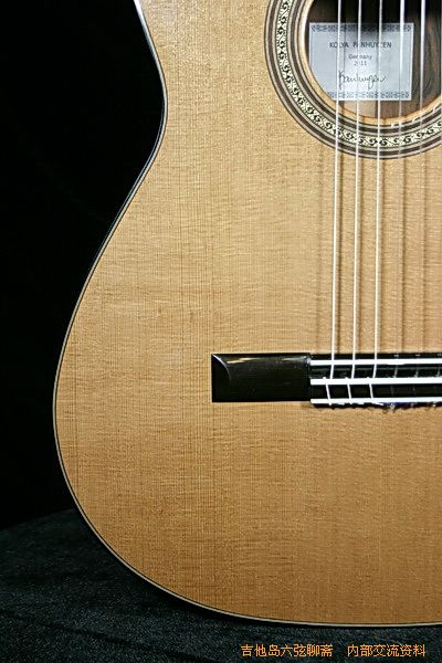 guitars 032_调整大小.jpg